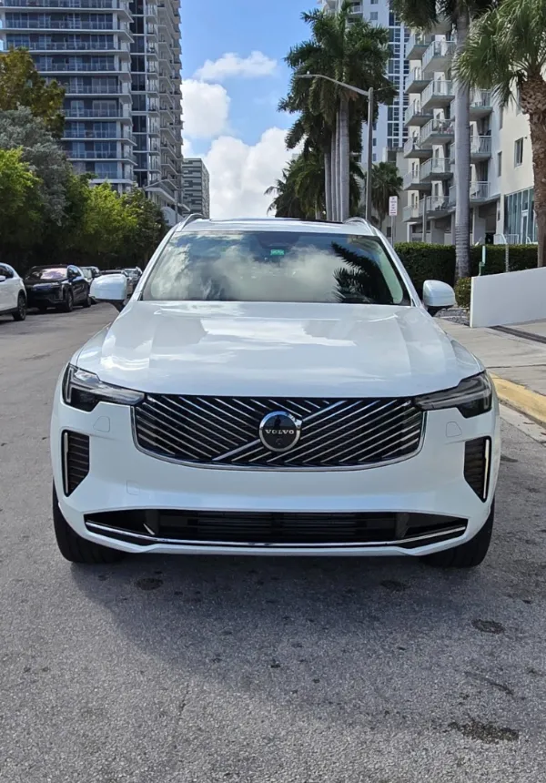 RM Auto Revival detailing work in Miami